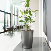 LECHUZA Plantenbak DELTINI ALL-IN-ONE metallic houtskoolkleurig