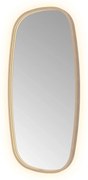 Hotbath &More Contour spiegel deens ovaal 50x100cm geborsteld koper PVD