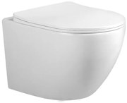 QeramiQ Salina 2.0 Compact wandcloset - Spoelrandloos - 48.5cm - softclose zitting - glans wit SW1247815