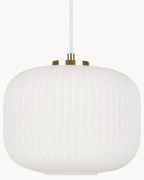 Kleine hanglamp Sober met glazen lampenkap