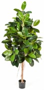 Ficus Elastica kunstplant - 210 cm