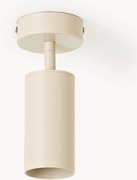 Plafondspot Cassandra