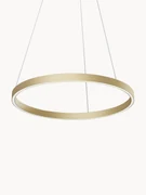 Grote LED hanglamp Rim