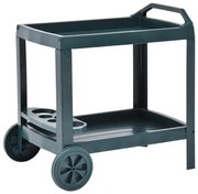 vidaXL Dranktrolley 69x53x72 cm kunststof groen