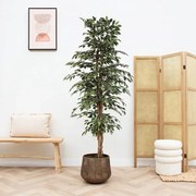 Kunst Ficus benjamina variegata - 205cm