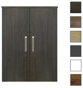 Sanicare kolomkast met luxe chromen greep 67x90x32cm schots-eiken