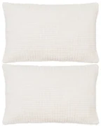 vidaXL Sierkussenset 40x60 cm velours gebroken wit 2-delig