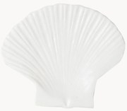 Dessertbord Shell van dolomiet