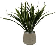 Dracaena Reflexa Kunstplant - 35 cm