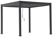 Cedrino Pergola 300x300x255cm