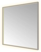 Hotbath &More Square rechthoekige spiegel 80x80cm geborsteld gunmetal PVD