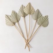 Set Van 6 Gelovige Gedroogde Decoratieve Takken Bamboe Groen - Sklum