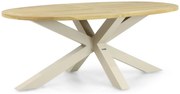 Dining Tuintafel  200 x 110 cm Taupe Brookline