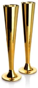 Champagneglazen Goud - Set Van 2