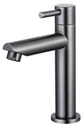 Fortifura Calvi Fonteinkraan - 15.4cm - opbouw - 1 gats - PVD geborsteld Geborsteld Gunmetal PVD SW696239