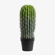 Kunst Cactus Echinopsis 60 Cm ↑60 Cm - Sklum