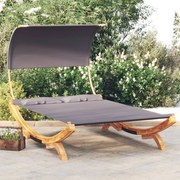 vidaXL Loungebed met luifel 165x203x126 cm gebogen hout antracietkleur