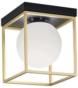 Plafondlamp APP1166-1C goud wit