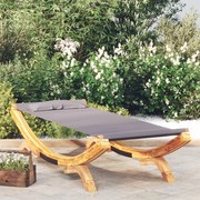 vidaXL Loungebed 100x188,5x44 cm massief gebogen hout antracietkleurig