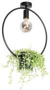 Moderne plafondlamp zwart met glas rond - Roslini