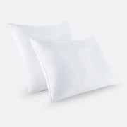 Set van 2 stevige anti-huisstofmijt kussens van microvezel