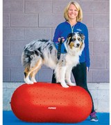 FitPAWS Dierenbalansplatform Trax Peanut 50 cm rood