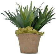 Hertshoornvaren Kunstplant inclusief pot - 30 cm