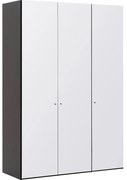 Goossens Kledingkast Easy Storage Ddk, Kledingkast 153 cm breed, 220 cm hoog, 3x glas draaideur