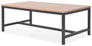 vidaXL Salontafel 100x55x36 cm essenhout