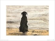 Kunstdruk Sam Toft - Black Dog Going Home