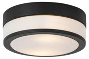 Moderne plafondlamp zwart 23 cm IP44  - Flavi