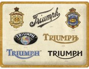 Metalen bord Triumph - Logo Evolution