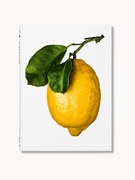 Geïllustreerd boek The Gourmand's Lemon. A Collection of Stories and Recipes