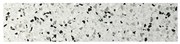 Terre d´Azur Granito terrazzo plint parma 40x7.5