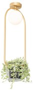 Art deco plafondlamp goud met wit glas - Isabella