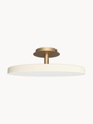 Dimbare LED plafondlamp Asteria, in verschillende formaten