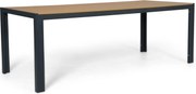 Dining Tuintafel rechthoekig 205x90 cm Grijs Creta