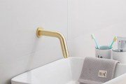 Saniclear Brass inbouw toiletkraan messing geborsteld - goud mat