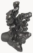 Metalen wandhaak Comber