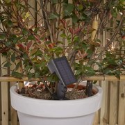 Luxform Tuinlamp Rosario met bewegingssensor solar LED 30 lm