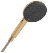 Hansgrohe Raindance alive handdouche125 3 jet EcoSmart Brushed bronze (brons) 24511140
