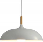 ANZO grijze plafondlamp