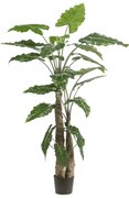 Alocasia Calidora Kunstplant - 180 cm