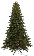 Danby Tree LED