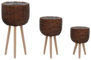 vidaXL Plantenbakken 3 st wicker met PE-voering