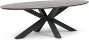 Dining Tuintafel  240 x 120 cm Grijs Lunea