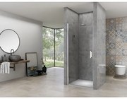 Van Rijn Products ST02 Nisdeur - 68x200 - helder glas - dikte 6mm - incl. glasbehandeling, - chroom ST02LP10067