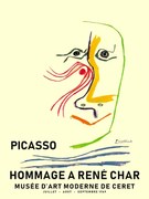 Ilustratie Picasso 1969, Finlay & Noa