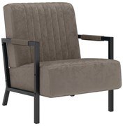 vidaXL Fauteuil fluweel lichtgrijs