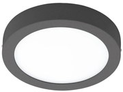 EGLO LED-buitenwand-/plafondlamp Argolis-C 16,5 W rond zwart